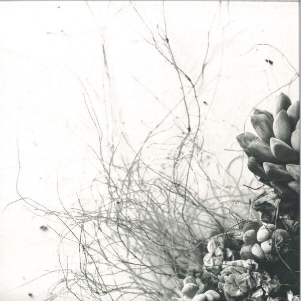Acaera — Unfold vinyl cover