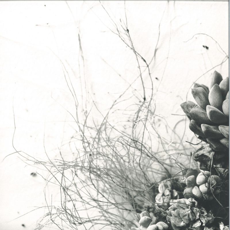 Acaera — Unfold vinyl cover