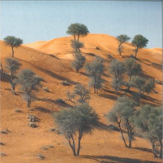 Teleseen — Exposures EP vinyl cover