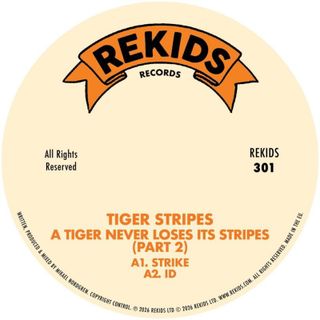 Tiger Stripes — A Tiger Never Loses Its Stripes (Part 2) vinyl cover