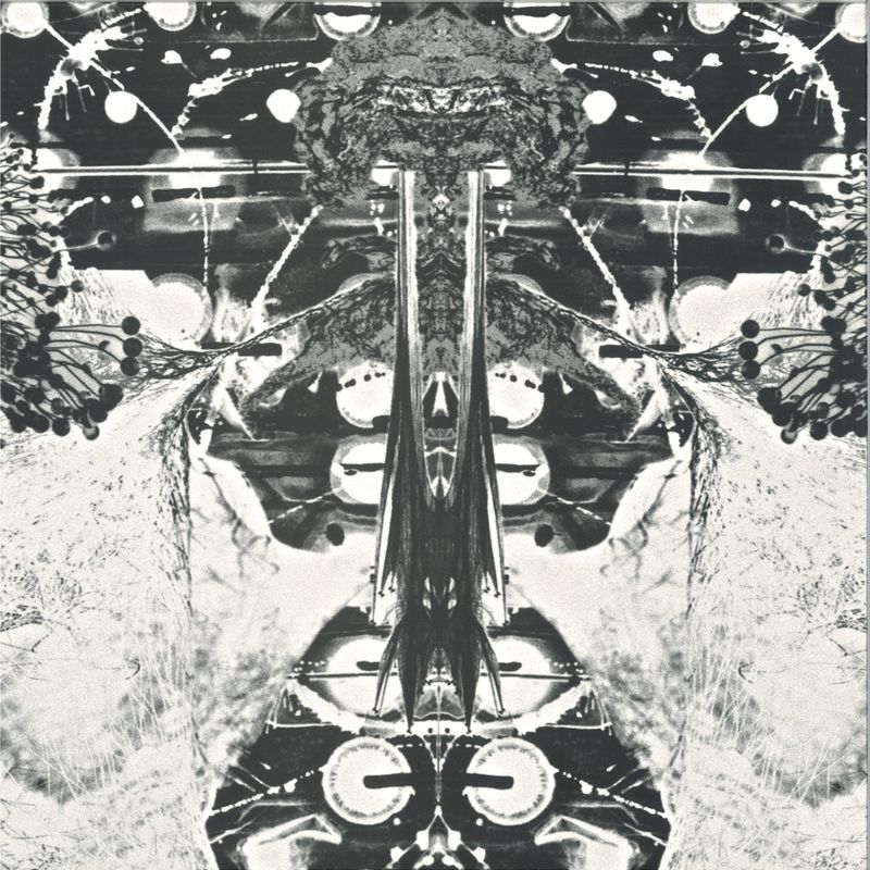 Almax Und Forte — NOIS D'AVUI LP vinyl cover
