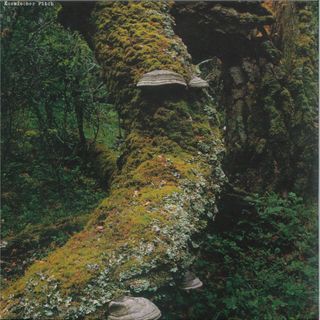 Jan Jelinek — Kosmischer Pitch vinyl cover