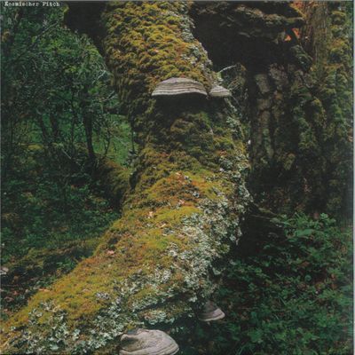 Jan Jelinek — Kosmischer Pitch vinyl cover