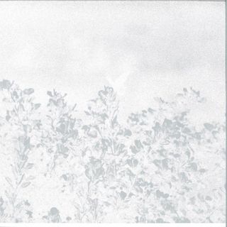 Marwan — Troebel Water vinyl cover