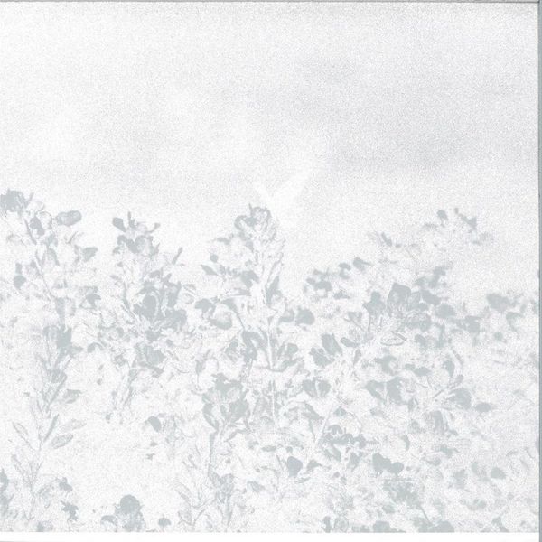 Marwan — Troebel Water vinyl cover