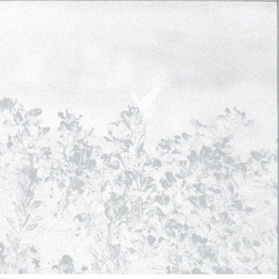 Marwan — Troebel Water vinyl cover