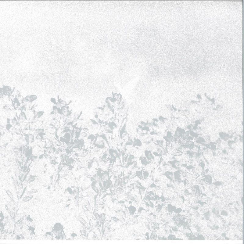 Marwan — Troebel Water vinyl cover