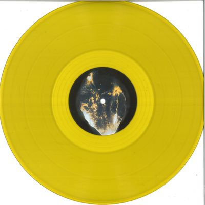 Hydergine — Entangle vinyl cover