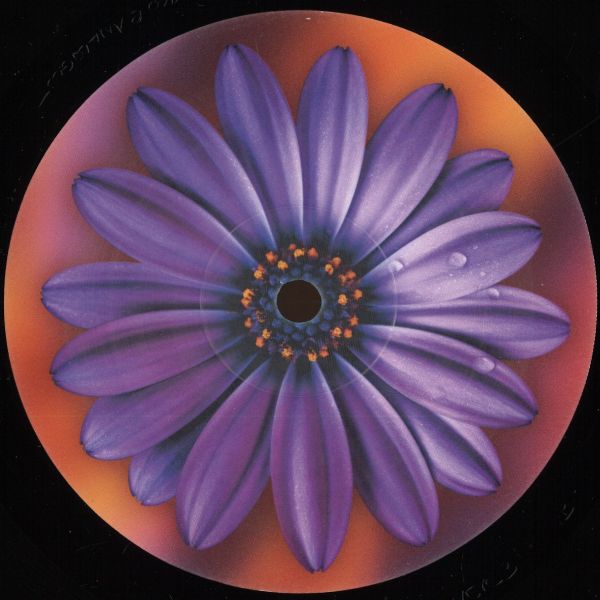 Clarence Wu — Here vinyl cover