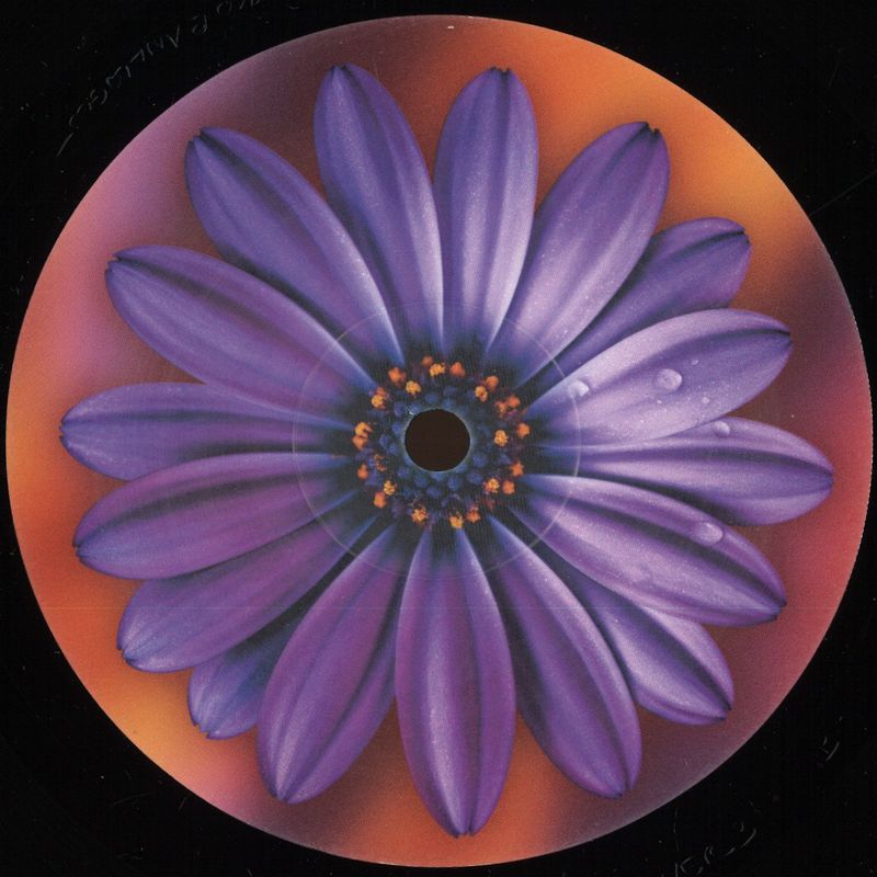 Clarence Wu — Here vinyl cover
