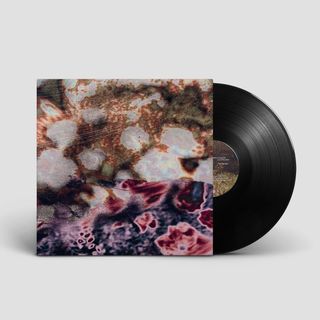 Serenity Complex, Aika Mal — The Garden vinyl cover