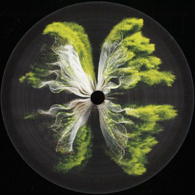 Rebūke — Along Came Polly vinyl cover