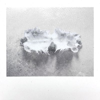 Joe Fujinoki — Glass Torso LP vinyl cover