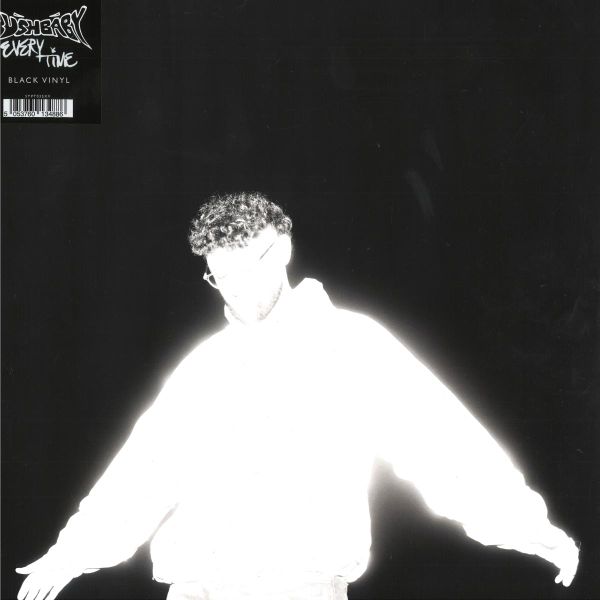 Bushbaby — EVERY TIME LP vinyl cover