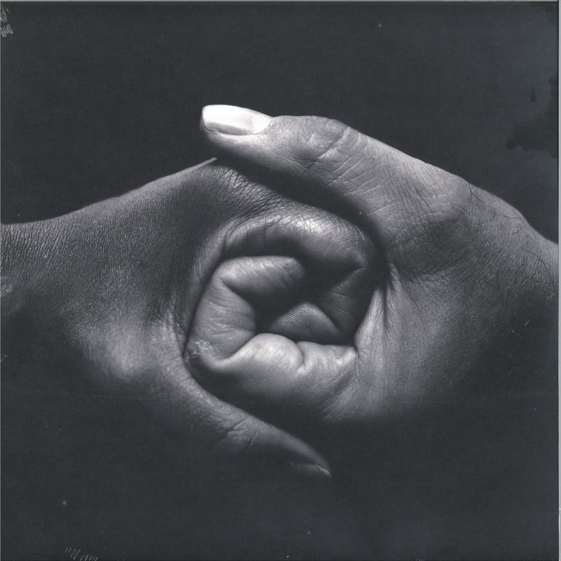 Wave Arising — The Rooted Sky 2x12" vinyl cover