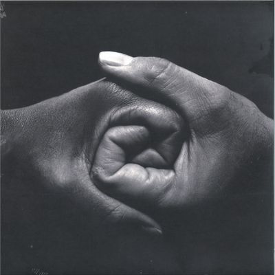 Wave Arising — The Rooted Sky 2x12" vinyl cover