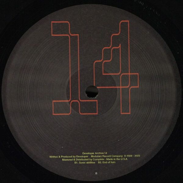 Developer — Archive 014 vinyl cover