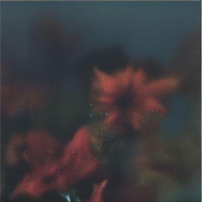 Erik M — Soft Wish vinyl cover
