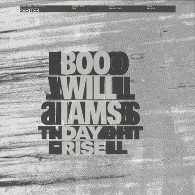 Boo Williams — Day Rise vinyl cover