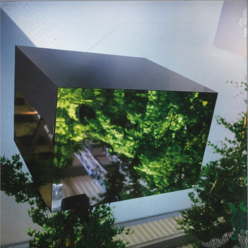Vtss — Borderline Tenderness vinyl cover