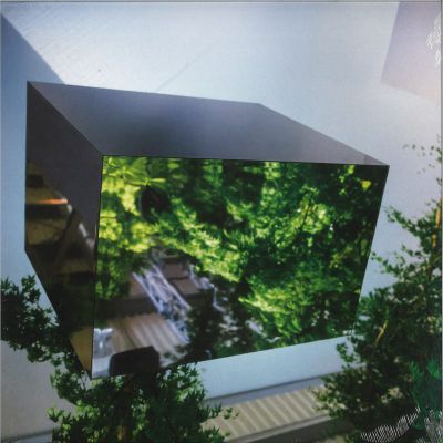Vtss — Borderline Tenderness vinyl cover