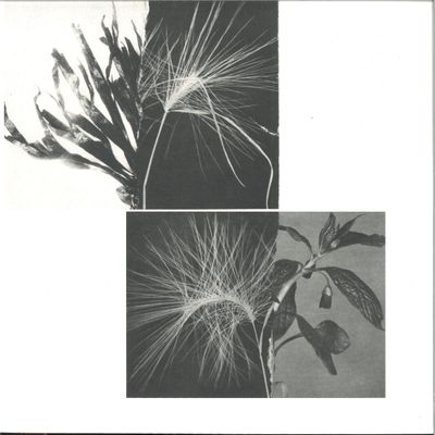 Andrew Pekler — New Environments & Rhythm Studies vinyl cover