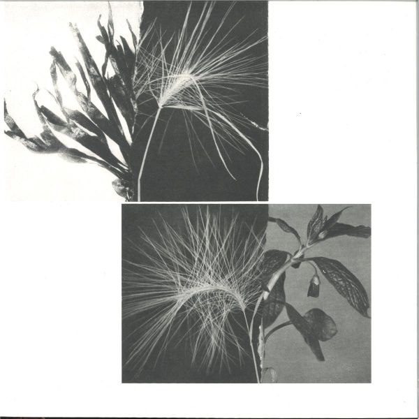 Andrew Pekler — New Environments & Rhythm Studies vinyl cover