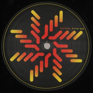 Slv — Night Echoes vinyl cover