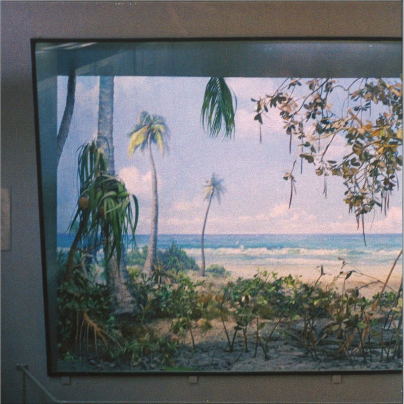 Nikolaienko — NOSTALGIA POR MESOZOICA LP vinyl cover