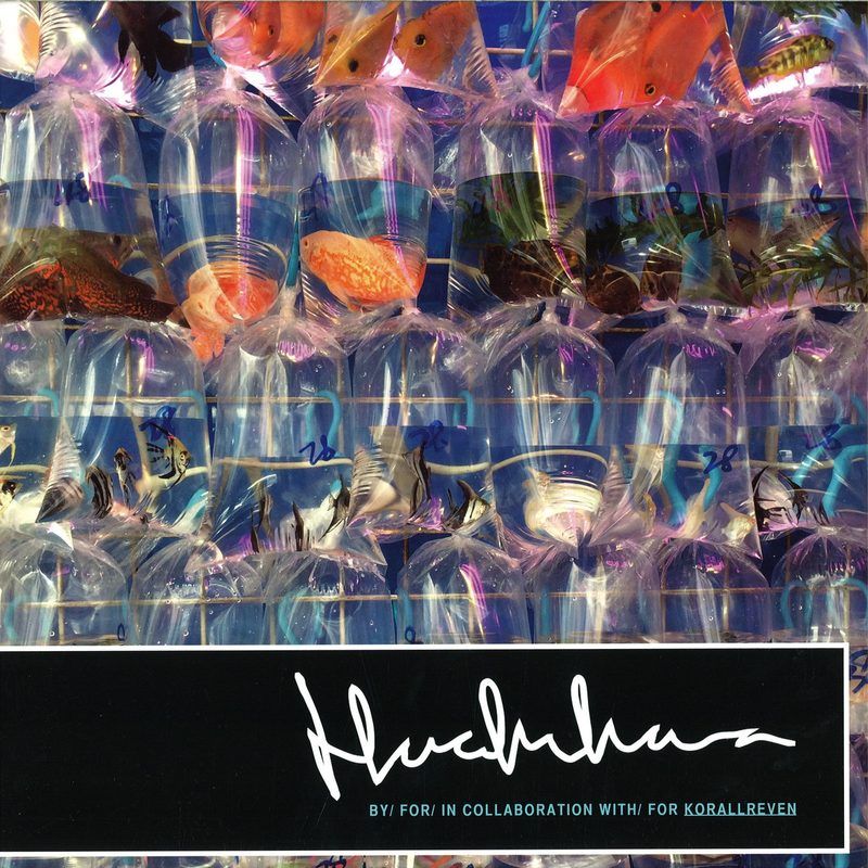 Korallreven — Here In Iowa Remix Ep vinyl cover