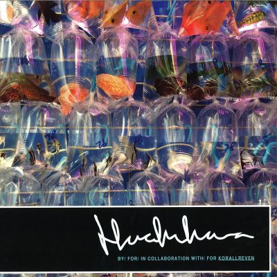 Korallreven — Here In Iowa Remix Ep vinyl cover