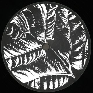 Various — Ancient Echoes EP vinyl cover