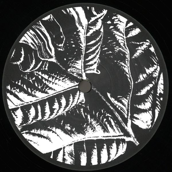 Various — Ancient Echoes EP vinyl cover