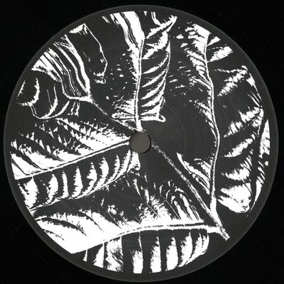 Various — Ancient Echoes EP vinyl cover