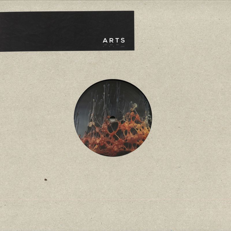 Paul Roux — WHAT WILL REMAIN WHEN WE’RE GONE EP vinyl cover