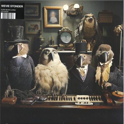 Wevie Stonder — Sure Beats Living LP vinyl cover