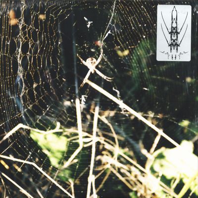 Florian Kupfer — UNMASKED EP vinyl cover