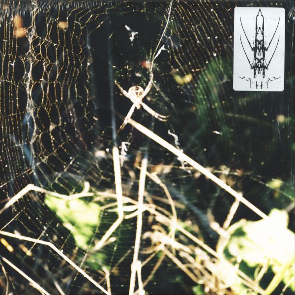 Florian Kupfer — UNMASKED EP vinyl cover