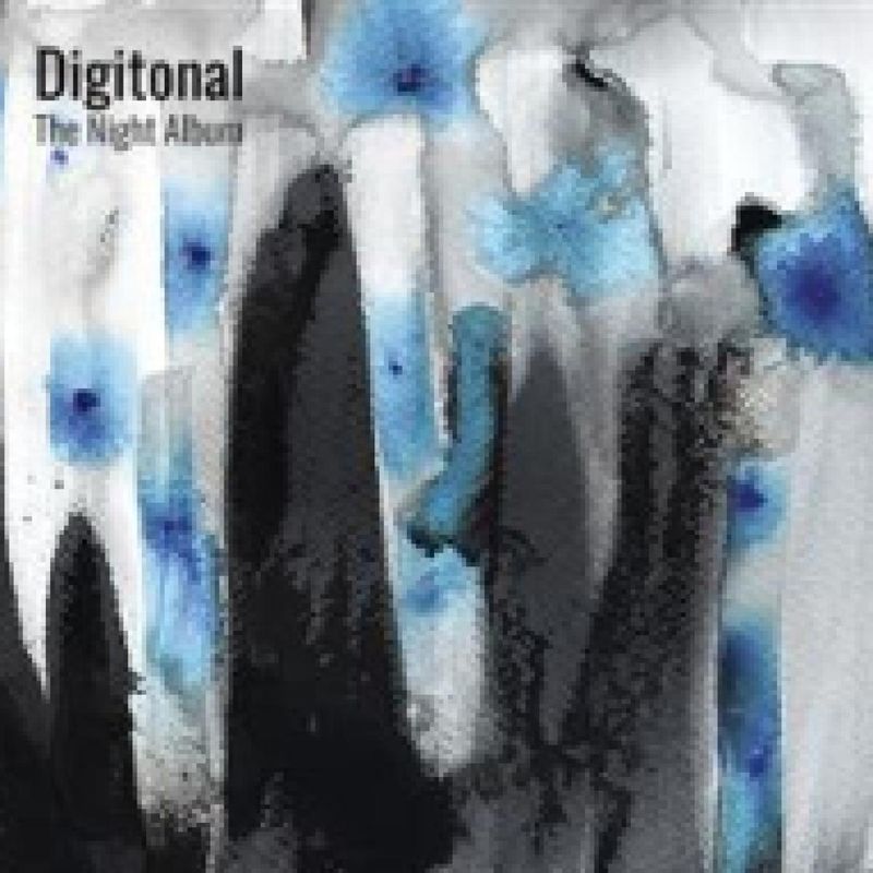 Digitonal — The Night Album LP vinyl cover