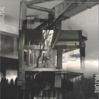 Rhys Fulber