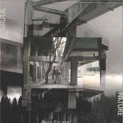 Rhys Fulber — Brutal Nature 2x12" vinyl cover