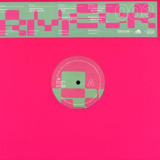 Pletnev — I Gotta Feed My Wasps EP vinyl cover