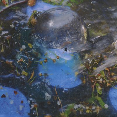 Pvas — Somaesthesia vinyl cover