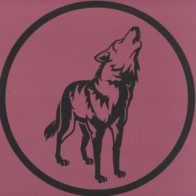 Bohm — Leaving Earth Part 1 vinyl cover