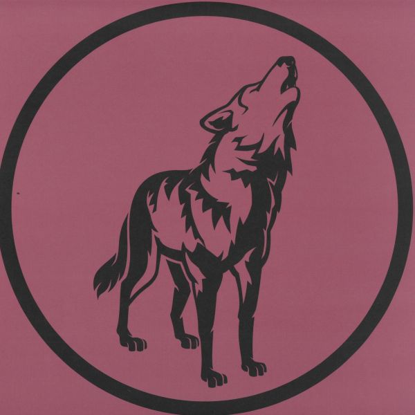 Bohm — Leaving Earth Part 1 vinyl cover