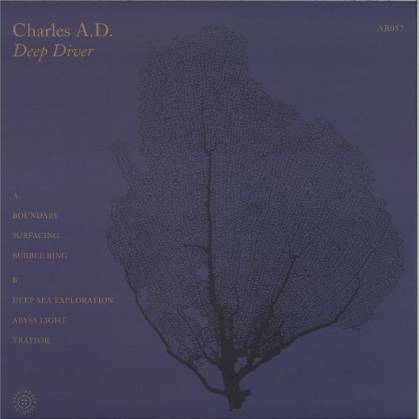 Charles A.d — Deep Diver (LP) vinyl cover