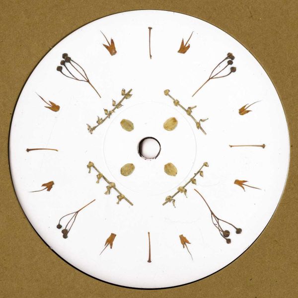 Nutia, Kitchen Island, Ramon Leon — lellep001 LP vinyl cover