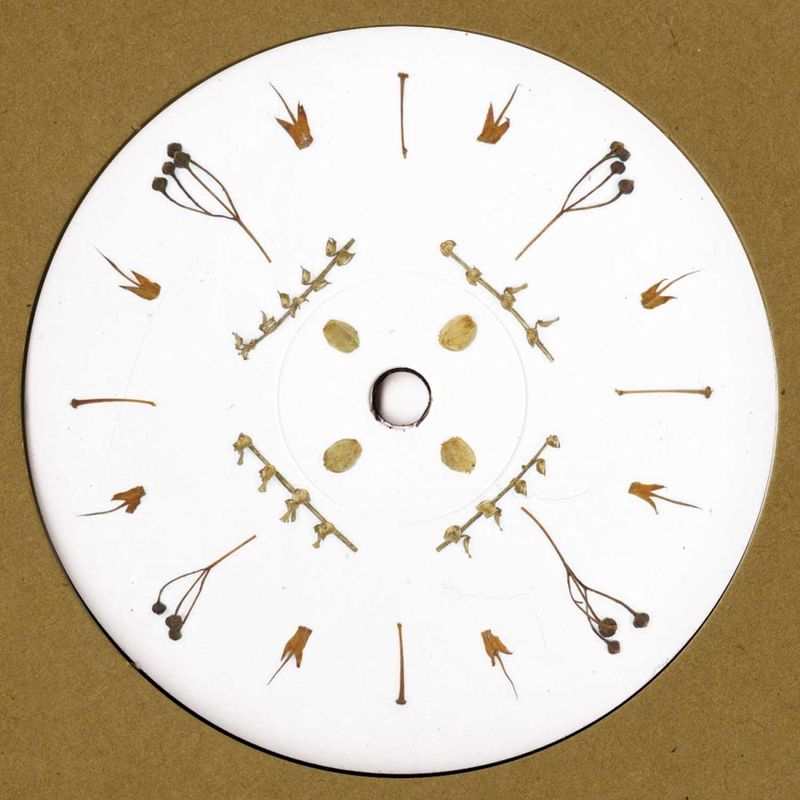 Nutia, Kitchen Island, Ramon Leon — lellep001 LP vinyl cover