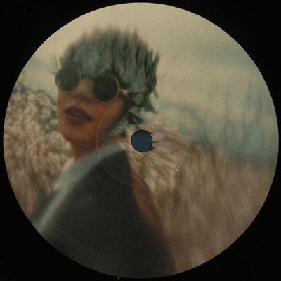 Stefan Willenegger — Landscape Mode vinyl cover