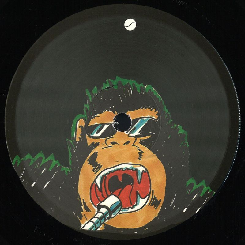Ramtin Niazi — Today’s Youth vinyl cover